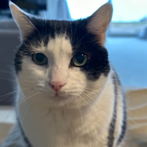 MEET YOUR POSHER - Picture 6 of 16